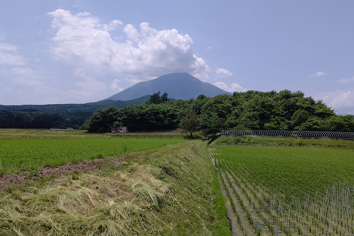 相続した接道のない農地を隣接農家へ売却できた事例【池田市神田】